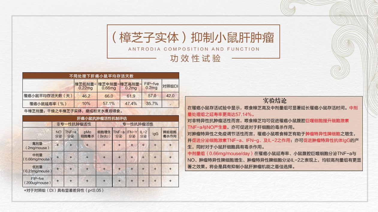 牛樟菇子实体抑制肿瘤