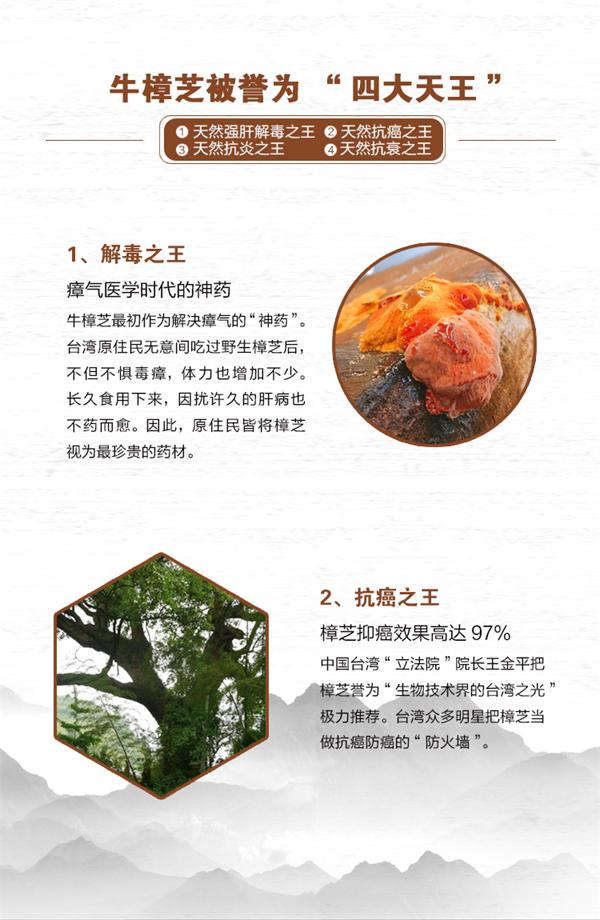 牛樟菇