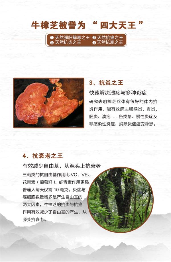 牛樟芝压片糖果代工