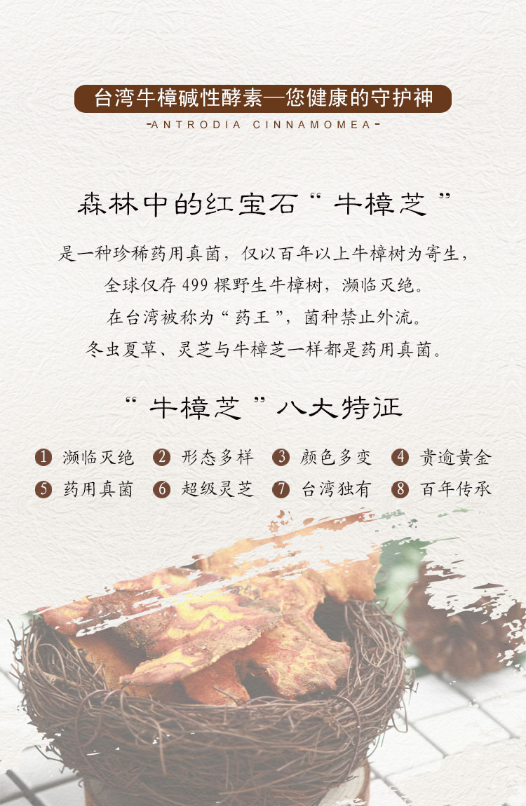 台湾牛樟菇碱性酵素