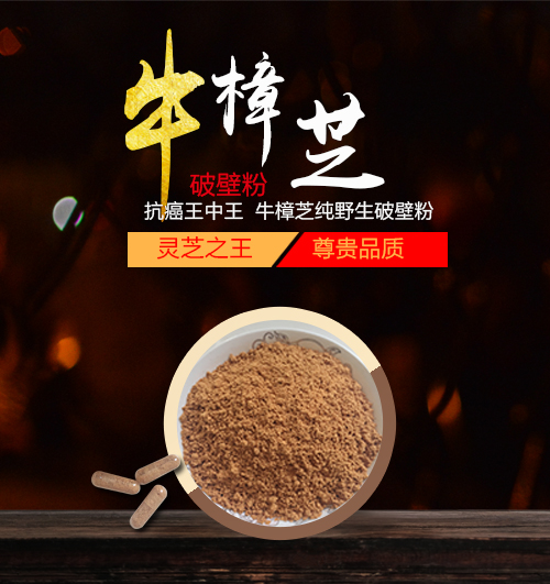 台湾牛樟芝（菇）野生破壁粉