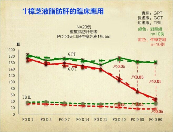 牛樟菇对脂肪肝 酒精肝 肝肿大效果明显