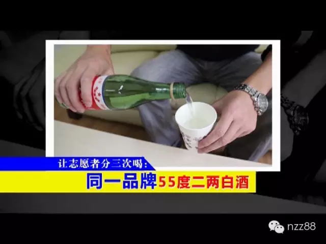 牛樟芝解酒试验