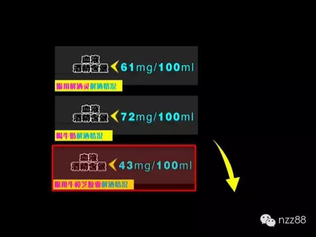 牛樟菇解酒效果